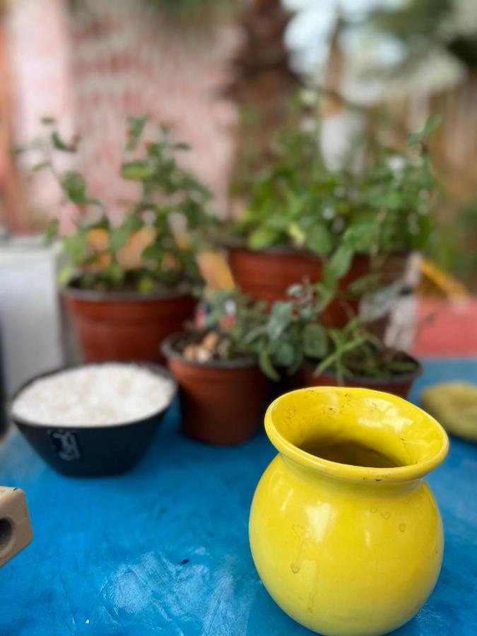 La Sardina Vandrerhjem Todos Santos Eksteriør bilde